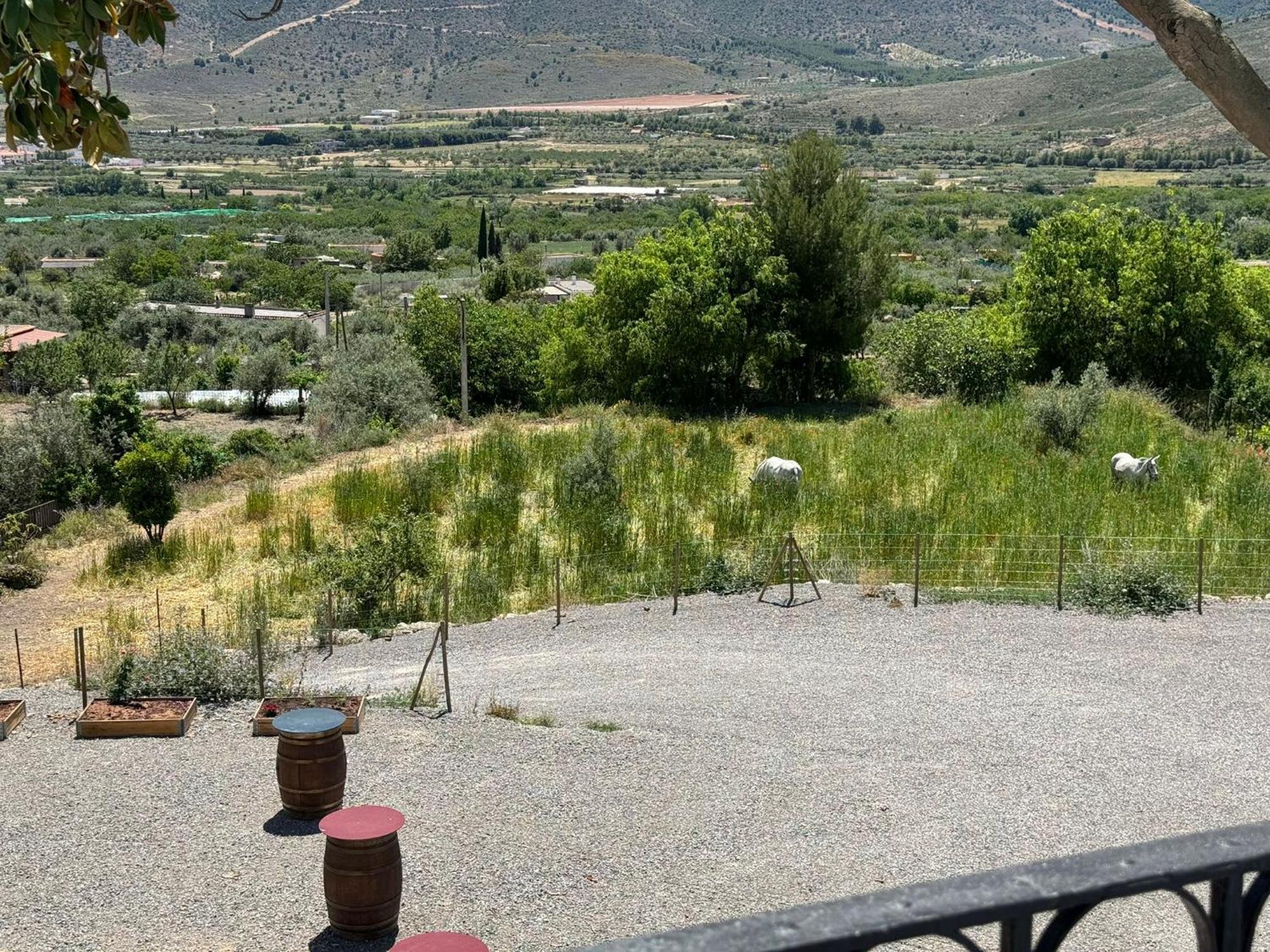 Casa Yanguas Rurales En Laujar De Andarax